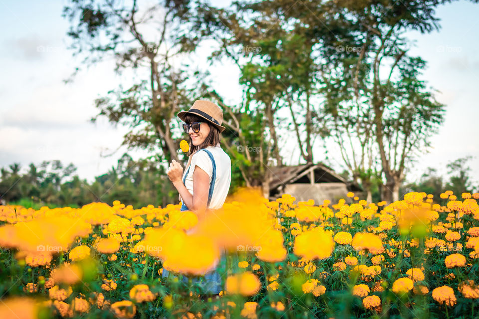 Marigold fields, Bali island.