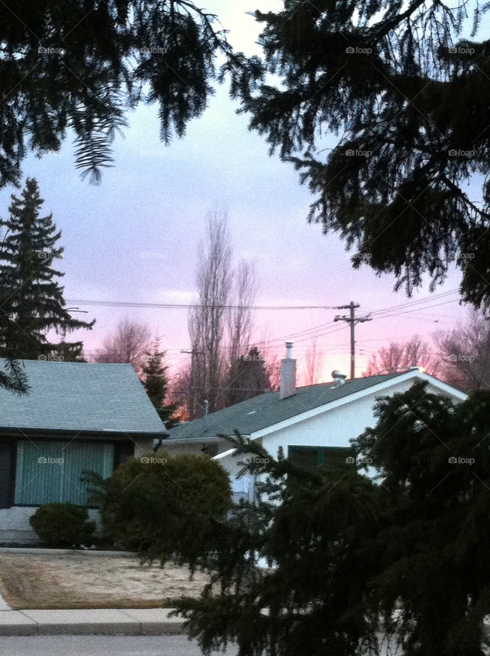 Sunset thru the trees