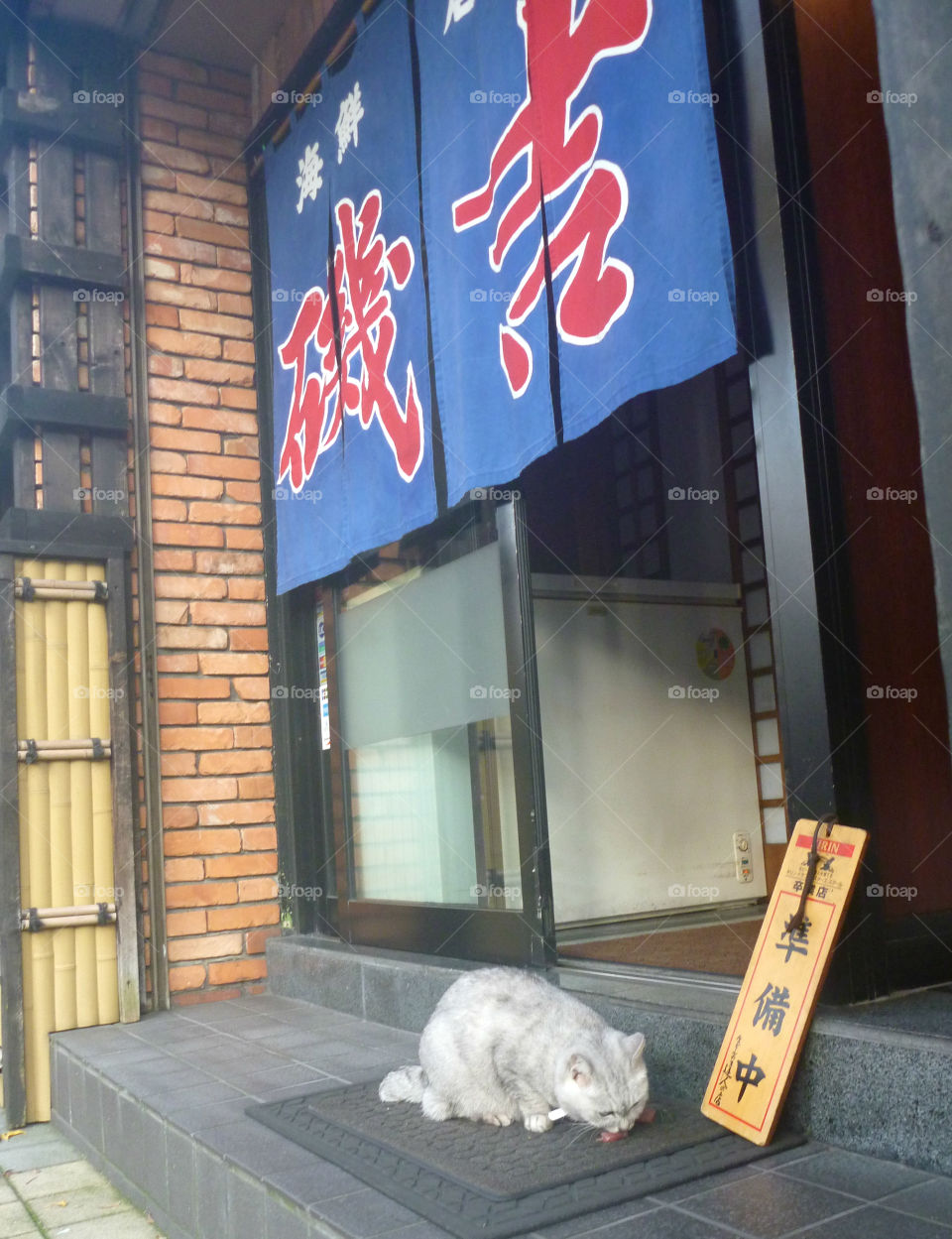 A cat eating sashimi outside of a sushi restaurant preparing to open for the night.