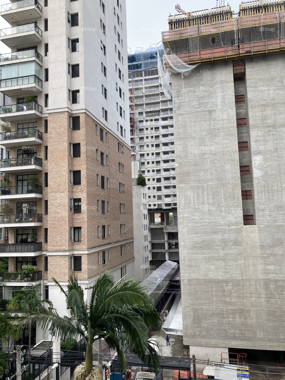 São Paulo- selva de pedras 