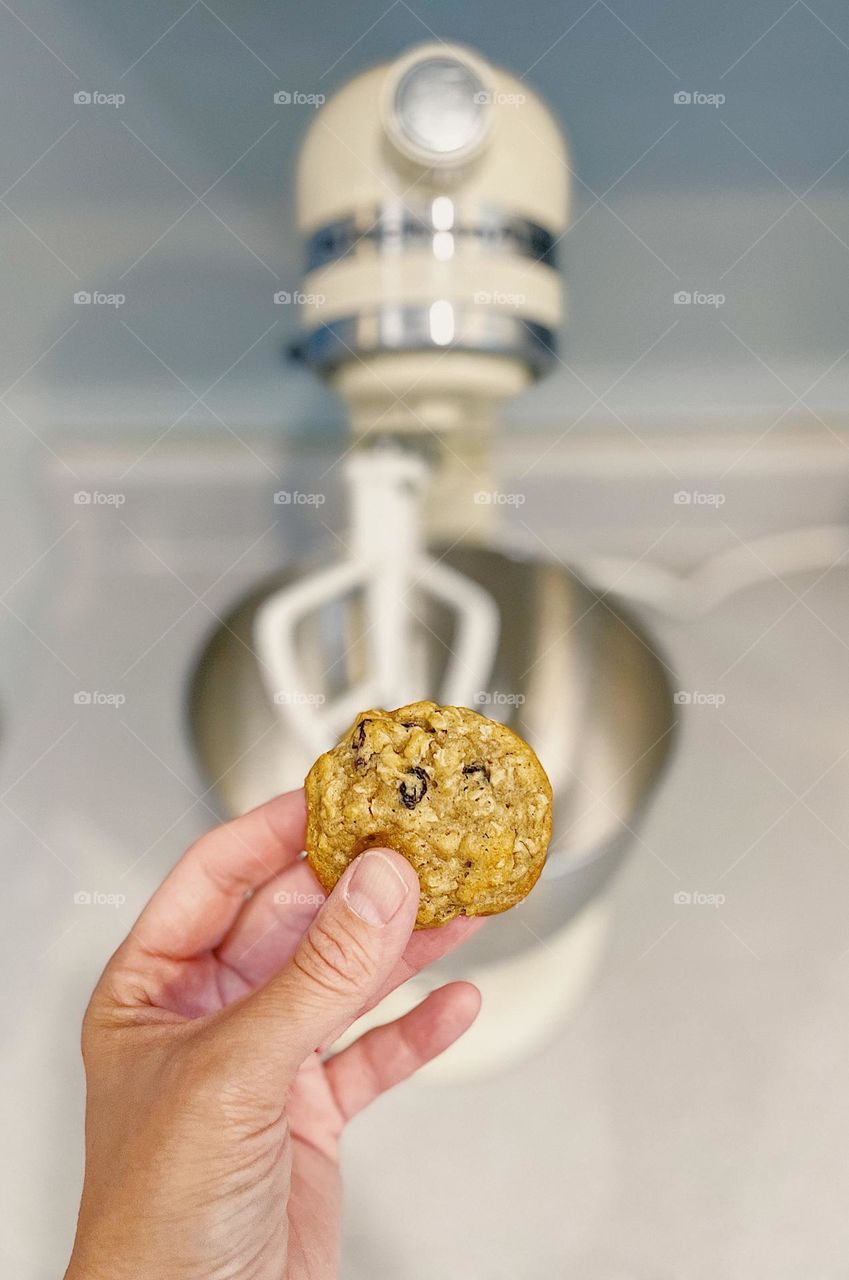 Woman’s hand holding Oatmeal Raisin Cookie, making cookies with toddlers, baking cookies at home, homemade cookies 