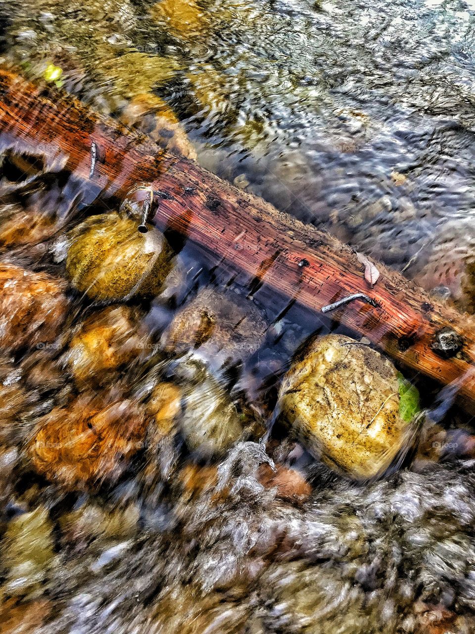 Reflections in a stream