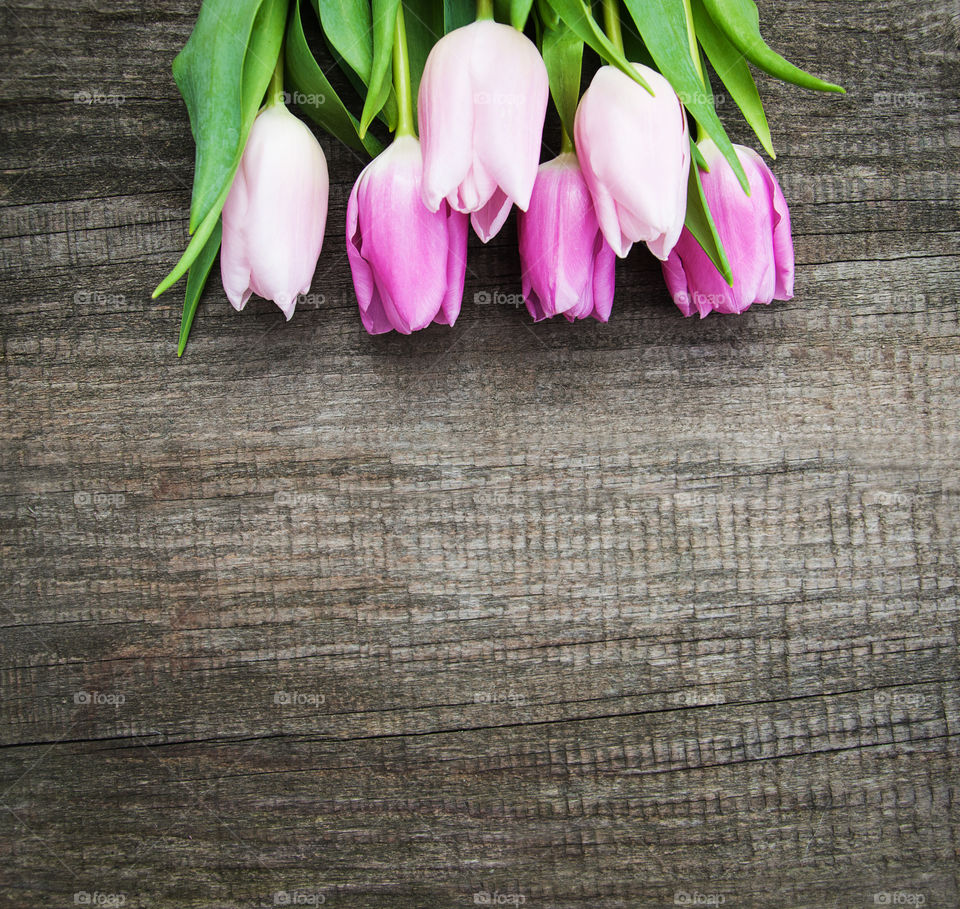 Spring tulips 