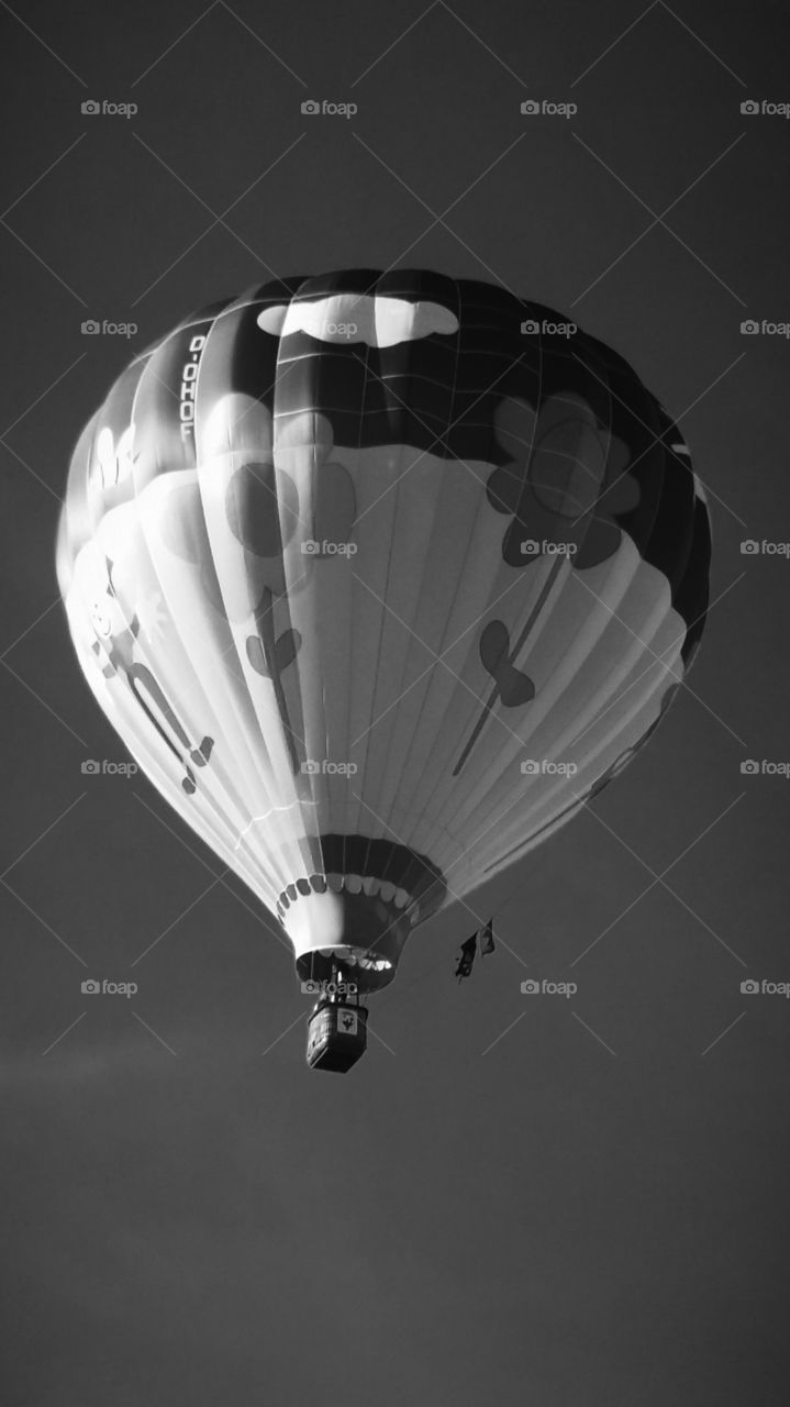 Hot air balloon summer contrast