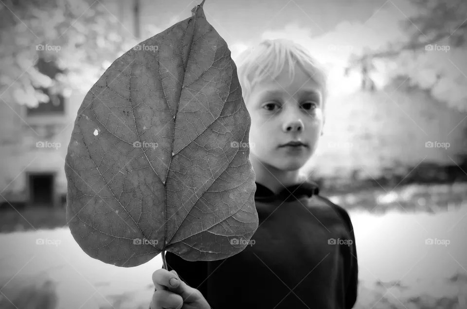 Leaf