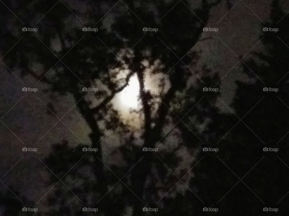 moonlight through clouds
