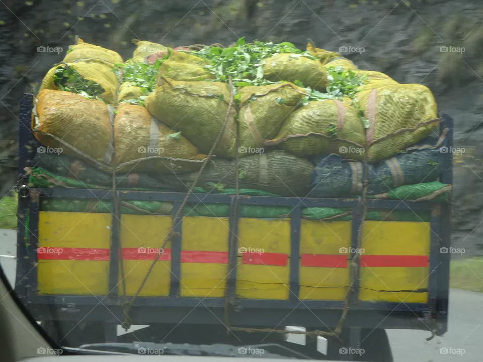 truck in India