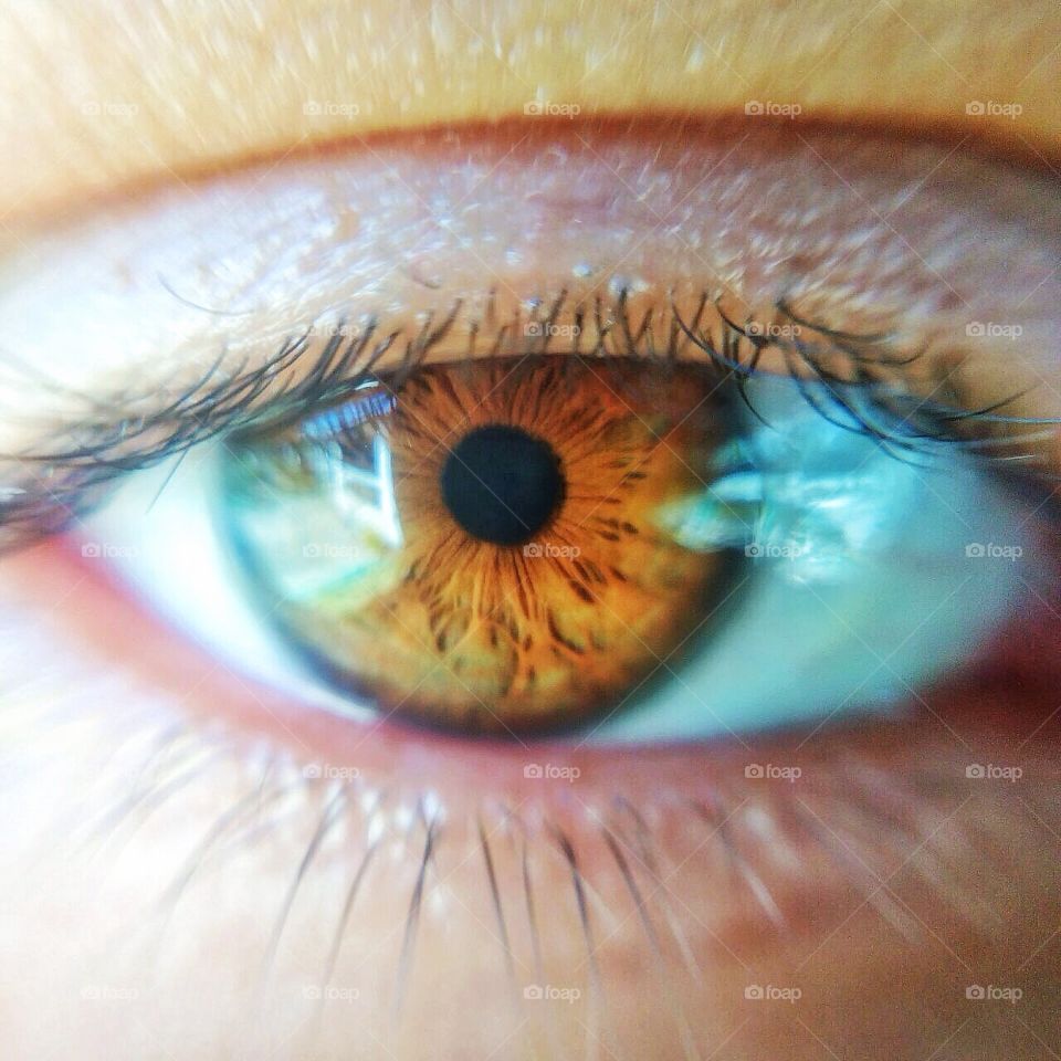 Vision, Eyeball, Eyesight, Eyelash, Retina