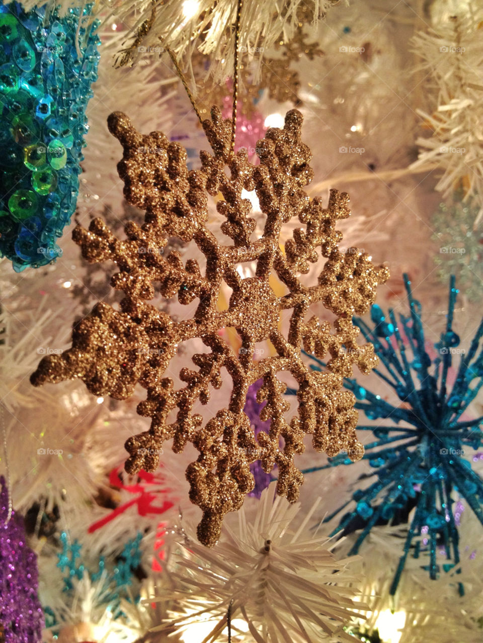 winter pretty white tree by somebeach