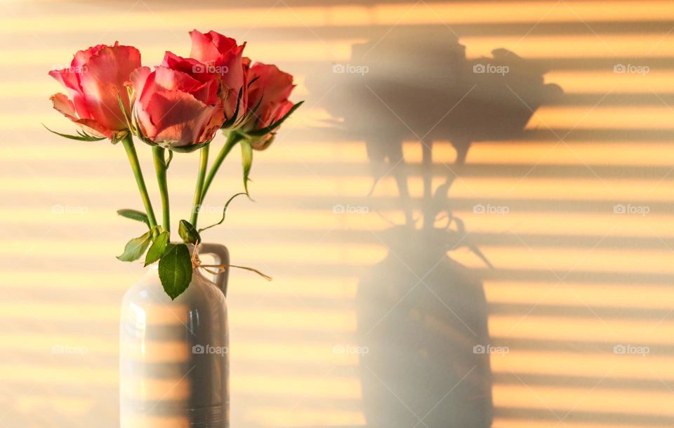 Flowers in a Vase