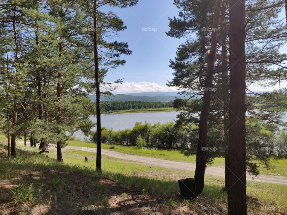 View through the trees to the river