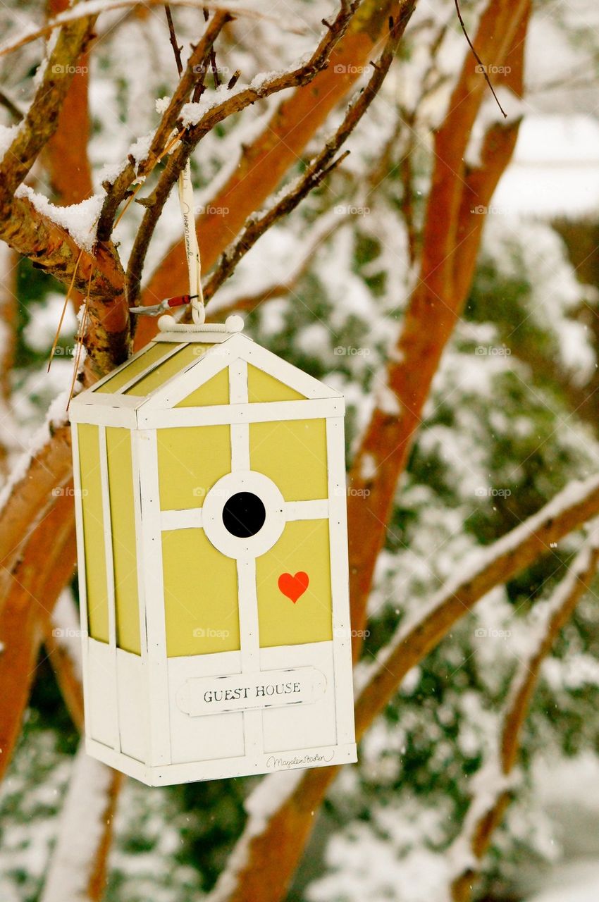 Birdhouse handing on the tree branch