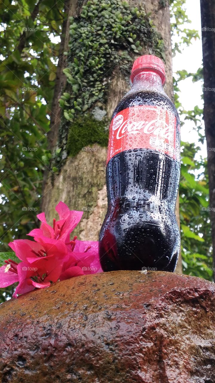 Coca cola