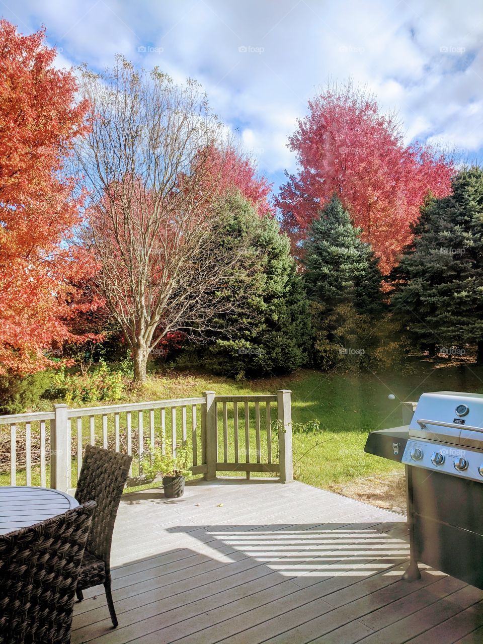 Wow..it's so beautiful to see different colours all around especially those wonderful "Orange" colour trees 🥰🥰🥰