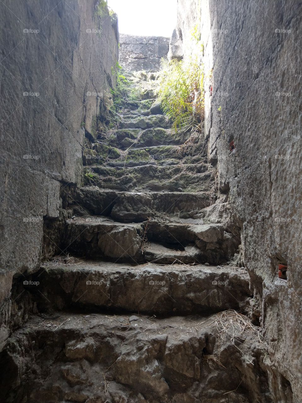 old steps