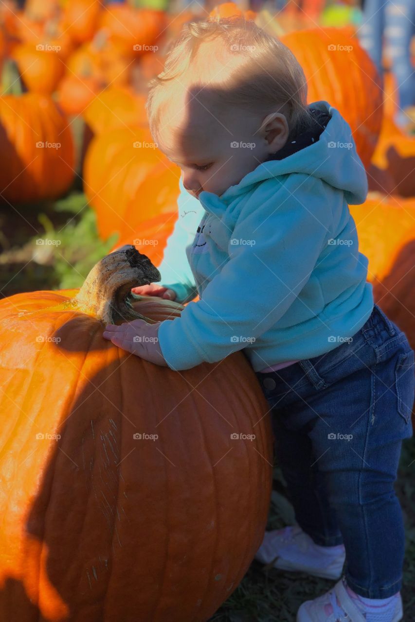 First time seeing a pumpkin. 