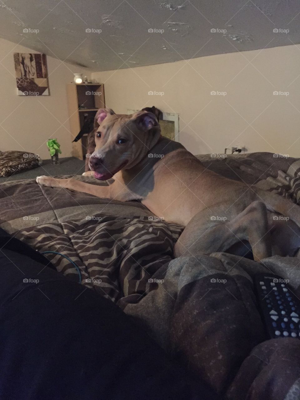 Relaxing on her mothers bed