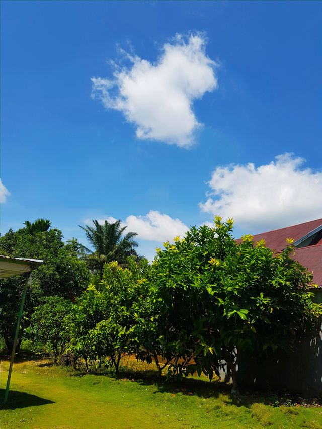 Beautiful landscape photo in daylight