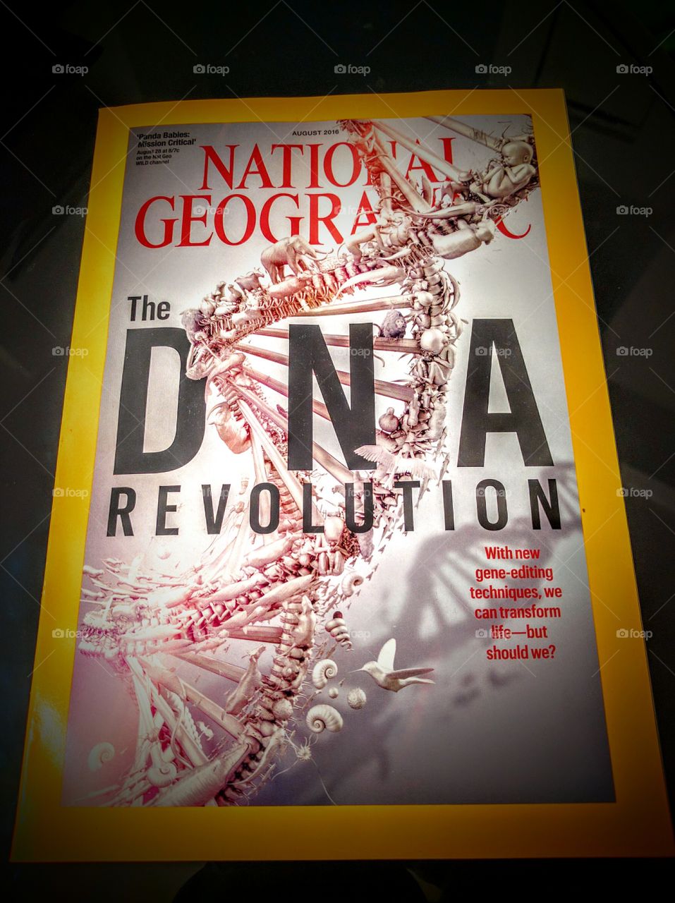 National Geographic DNA Book
