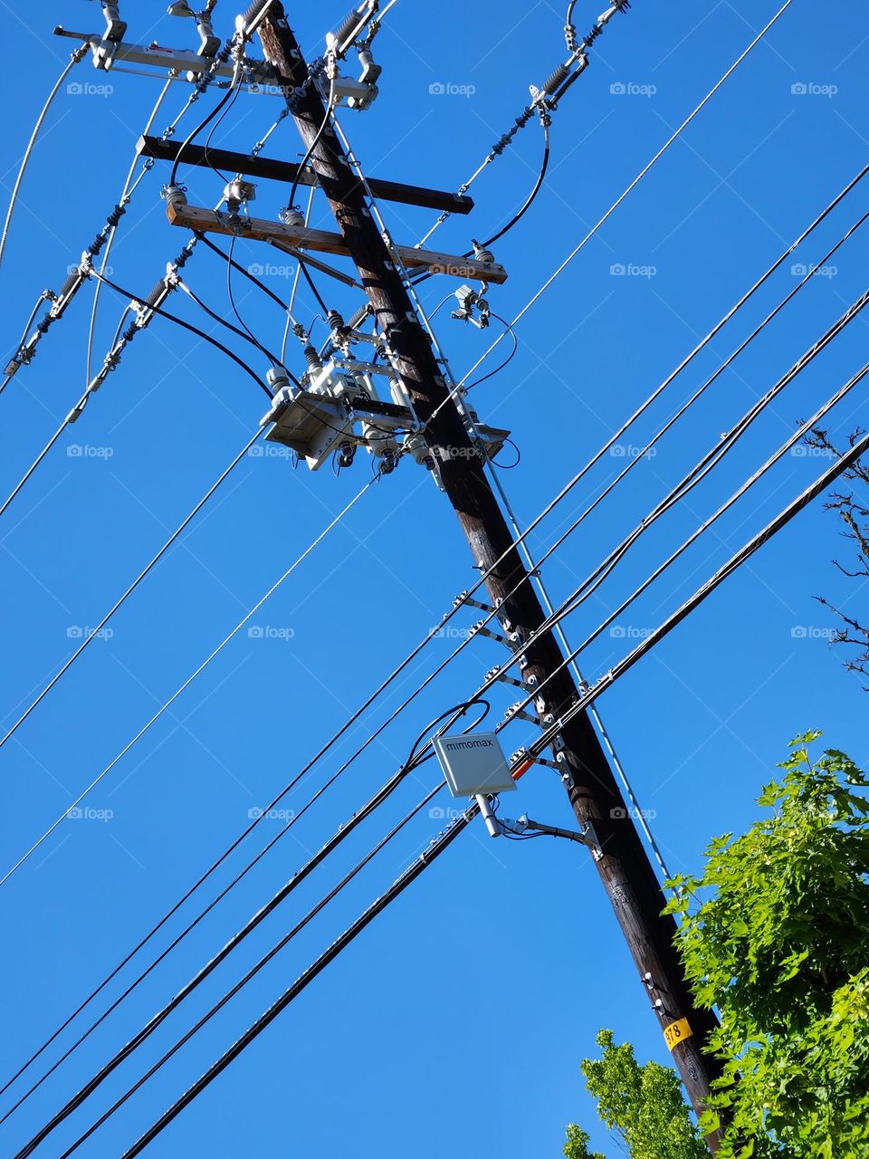 telephone pole and wires against blue sky in Oregon