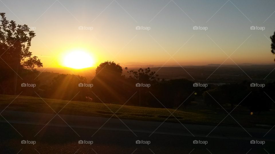 golden hour at rose hill