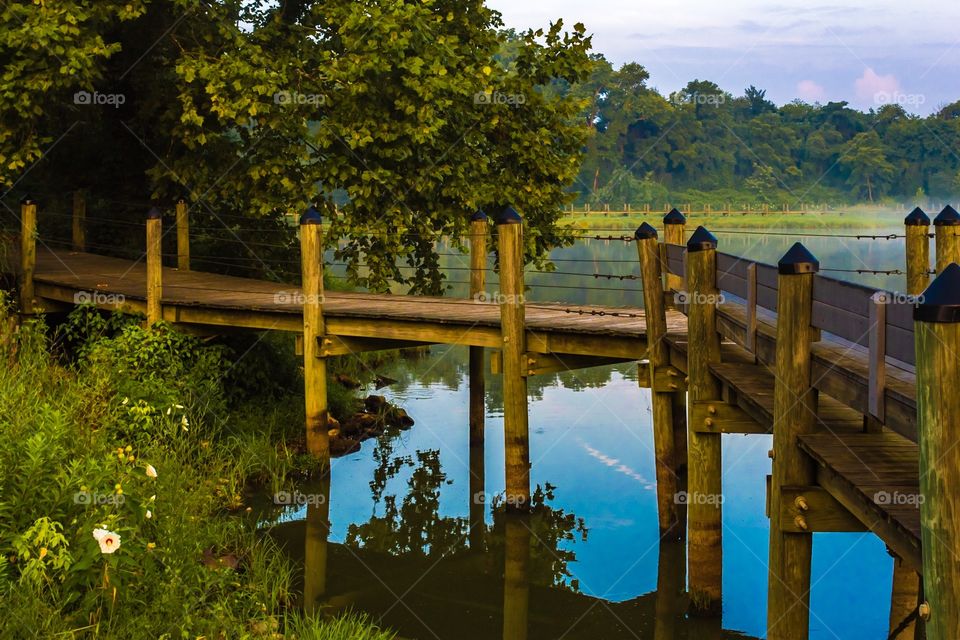 Scenic Pond and pier