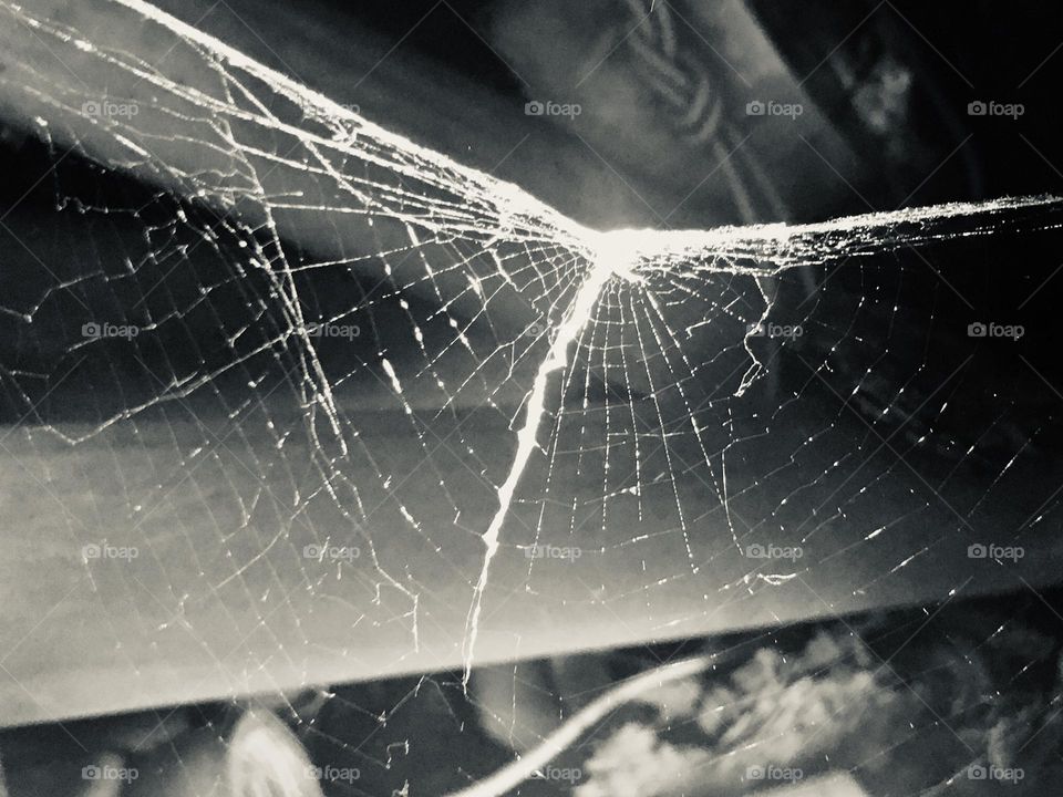 Beautiful spiderweb environmental architecture 