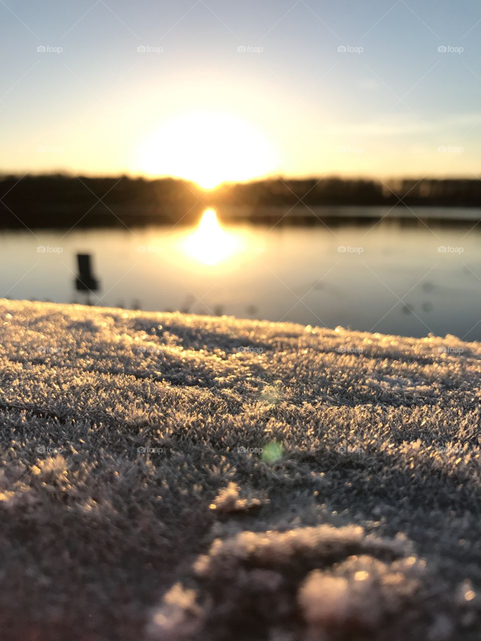Frost in the morning while the sun rises 