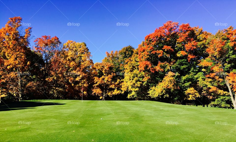 Scenic view of golf course in autumn