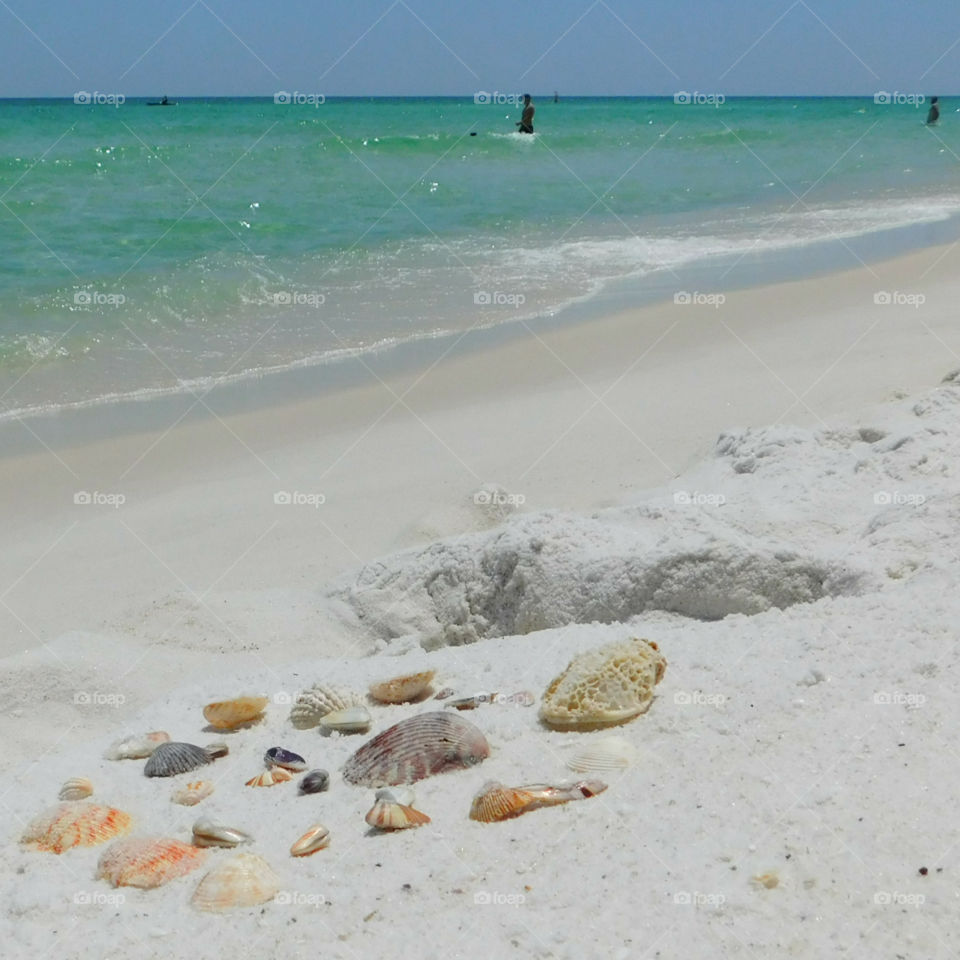 Sea shells on the sandy beach! One of my favorite pastimes is to walk along the beach and look for seashells that have been washed up on the shore by the crashing waves if the Gulf of Mexico! So relaxing and memorizing!