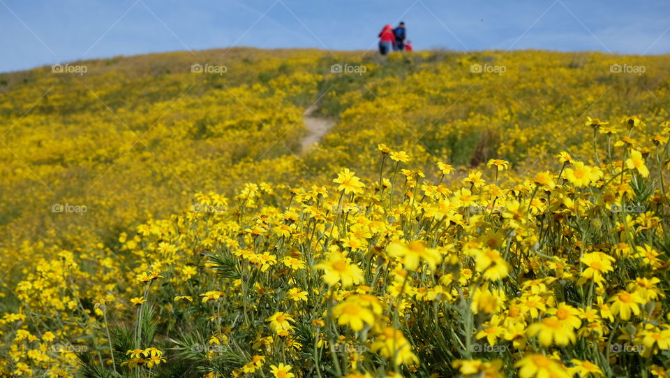 People outdoors in spring