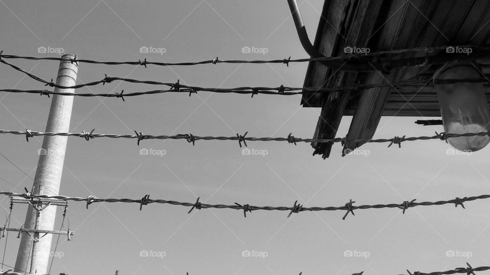 Wire, Barbed Wire, Jail, Fence, Steel