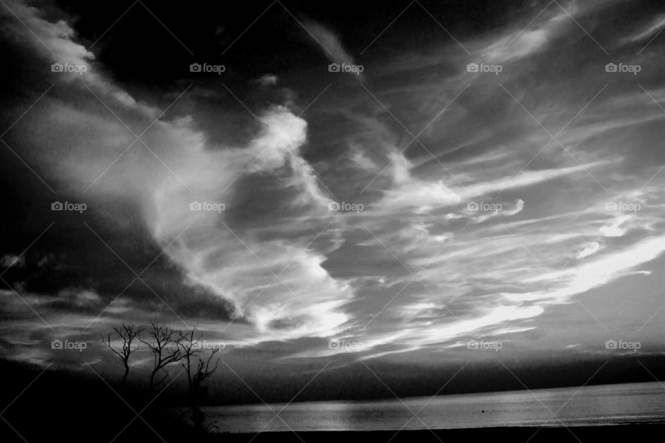 Surreal landscape. State of the soul. Oniric vision with clouds, bare trees, the sea. B/w version of a real landscape.