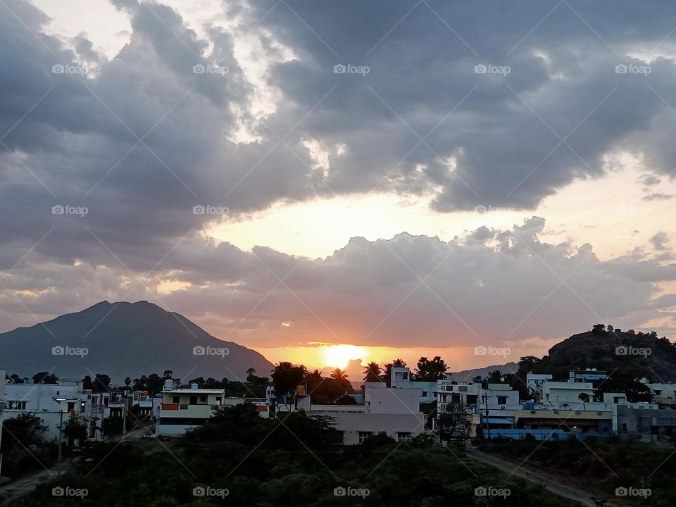 ravarma,  Golden dolfin, red sunset