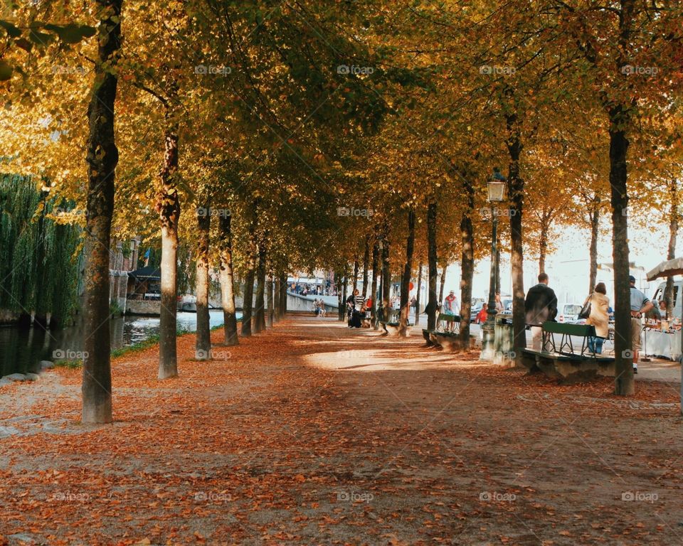 Fall in Bruges.