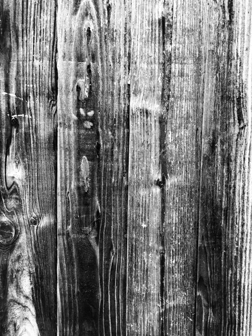 Wood Plank Panel B/W 2