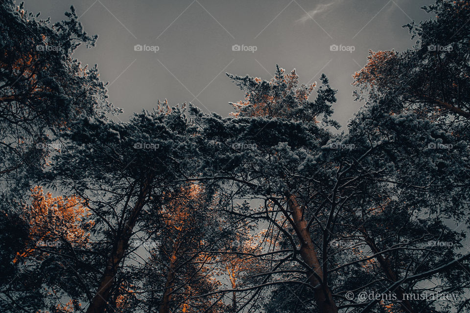 Walk in the Shuvakish park