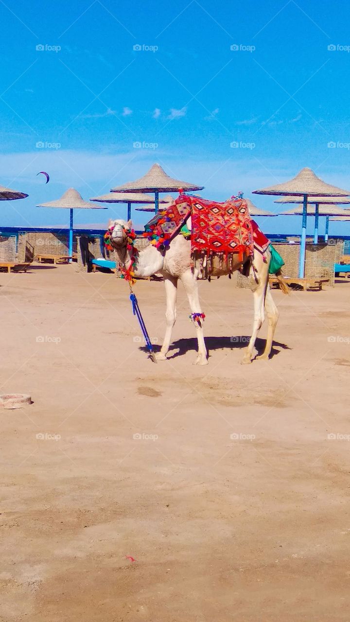 Vacation series beaches