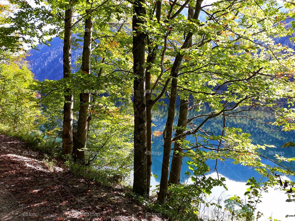 A walk across the lake