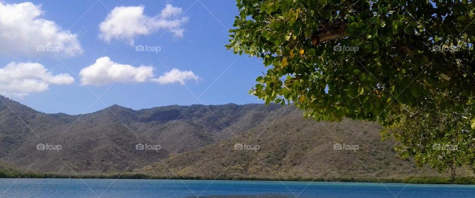 clouds that look like cotton balls decorating the landscape in the blue sky