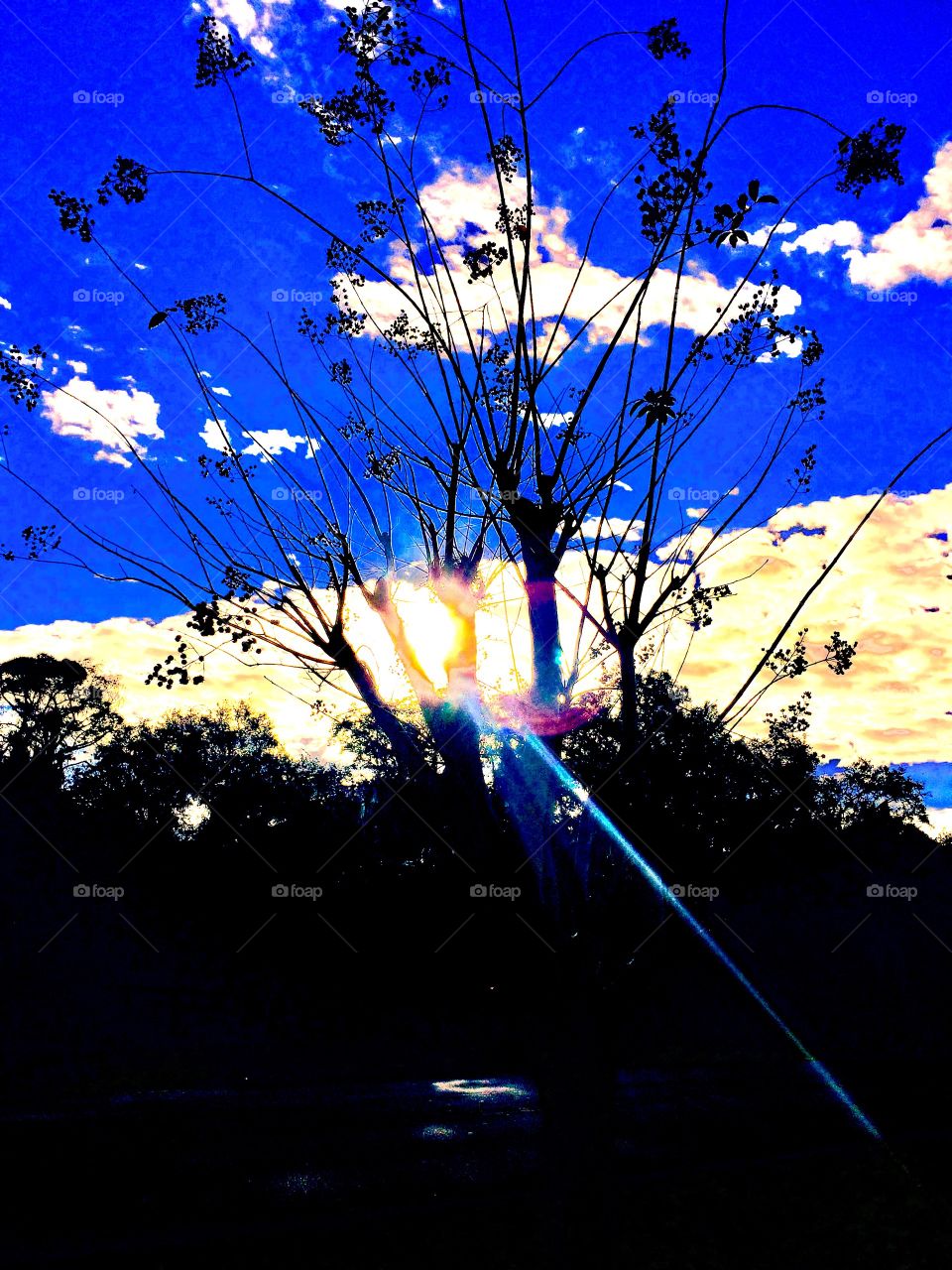 A ray of light marks the path