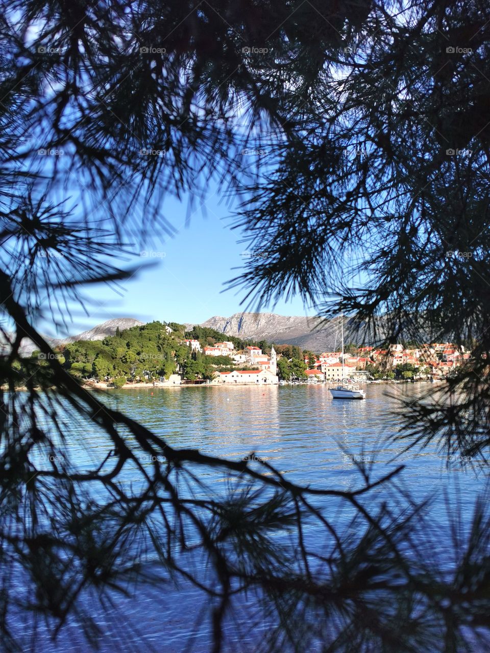 Cavtat between the trees