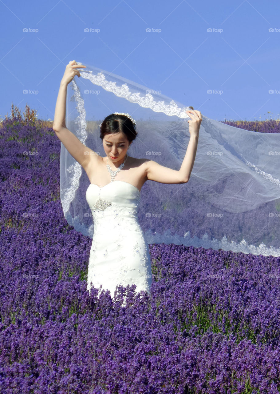 Bride. Bride in lavender 