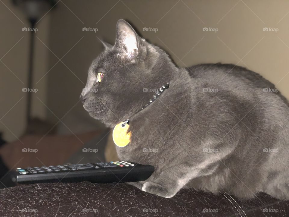 Cap protecting the remote