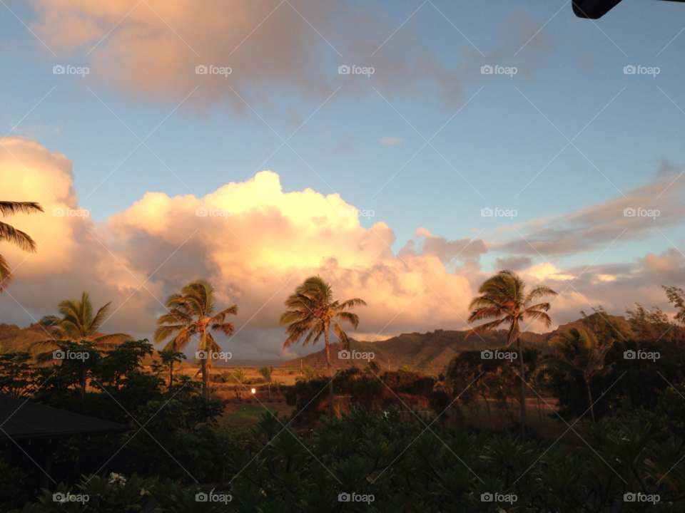 sunrise palm trees hawaii kauai by thecrazyludwig