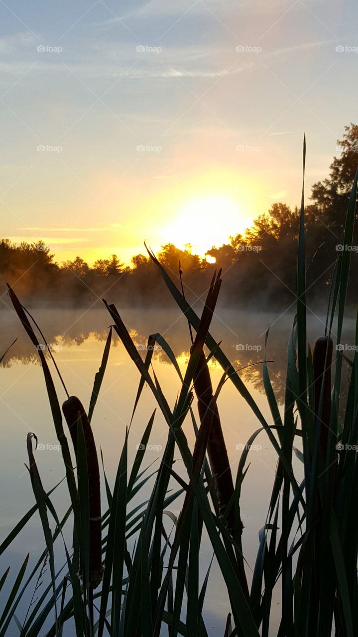 sunrise on the pond