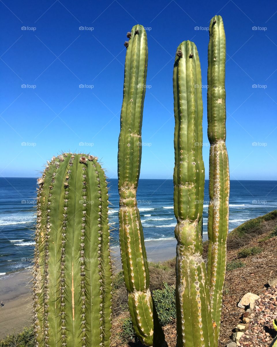 San Diego California, Pacific Ocean 2018