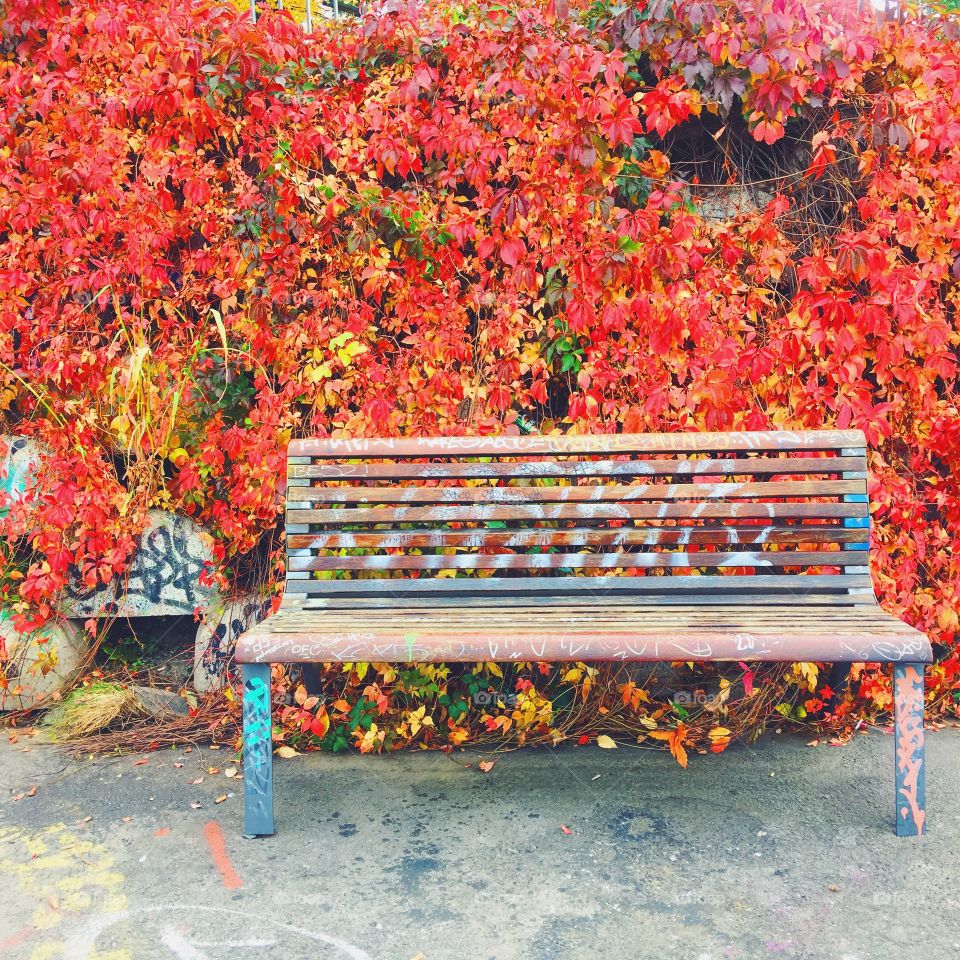 Autumn 🍂 in Prag 