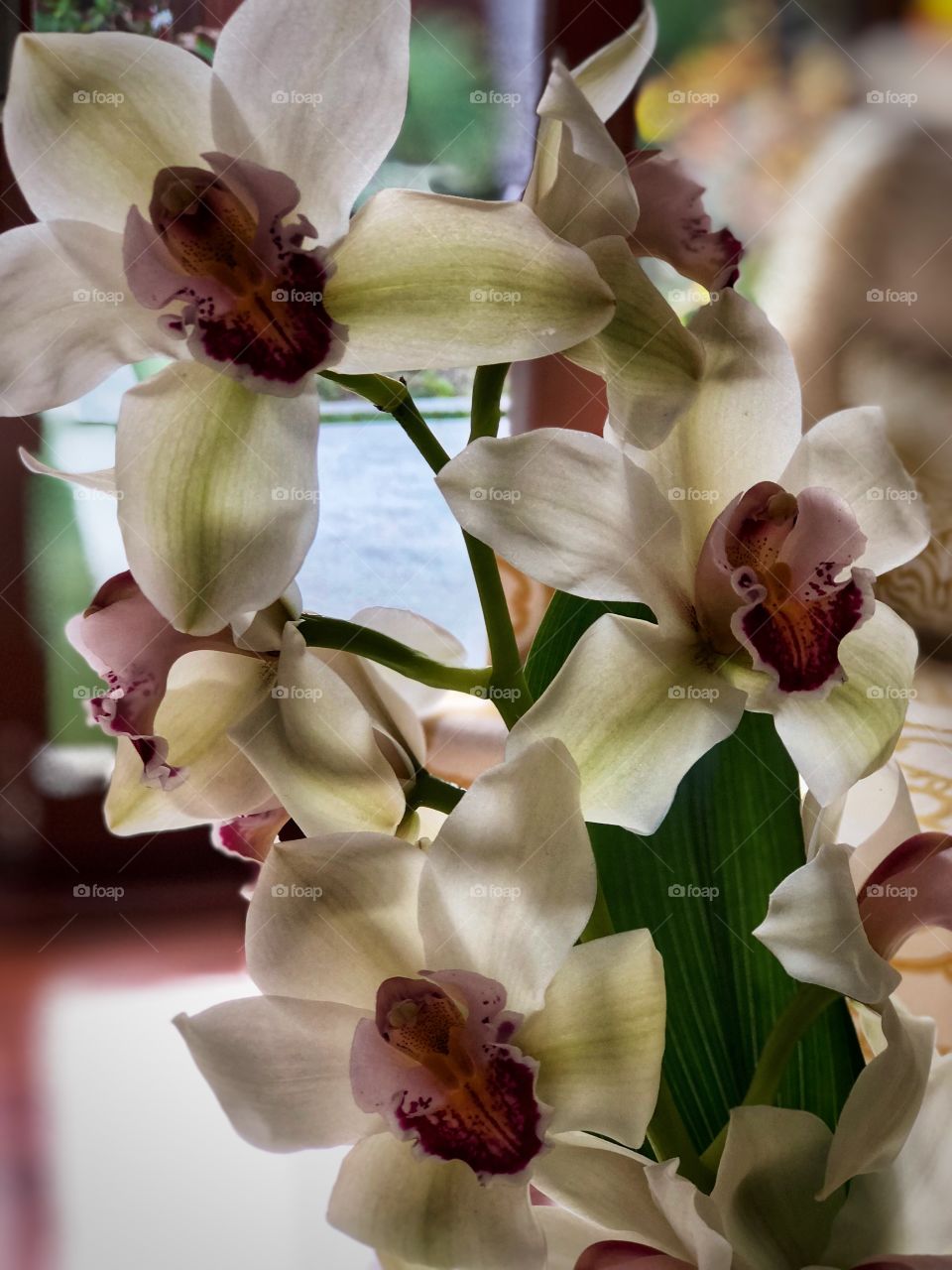 Beautiful Botanicals Orchids! Stunning Canvas Art, Wall Art And Decor!
