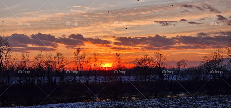 Birds flying over river and field covered in snow during beautiful sunset on a cold winter day